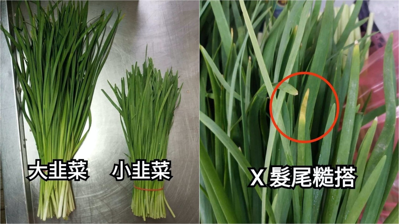 揀韭菜貼士|小韭菜口味較清淡不嗆辣 4大挑選秘訣尾巴不要枯黃 揀韭菜貼士|小韭菜口味較清淡不嗆辣 4大挑選秘訣尾巴不要枯黃