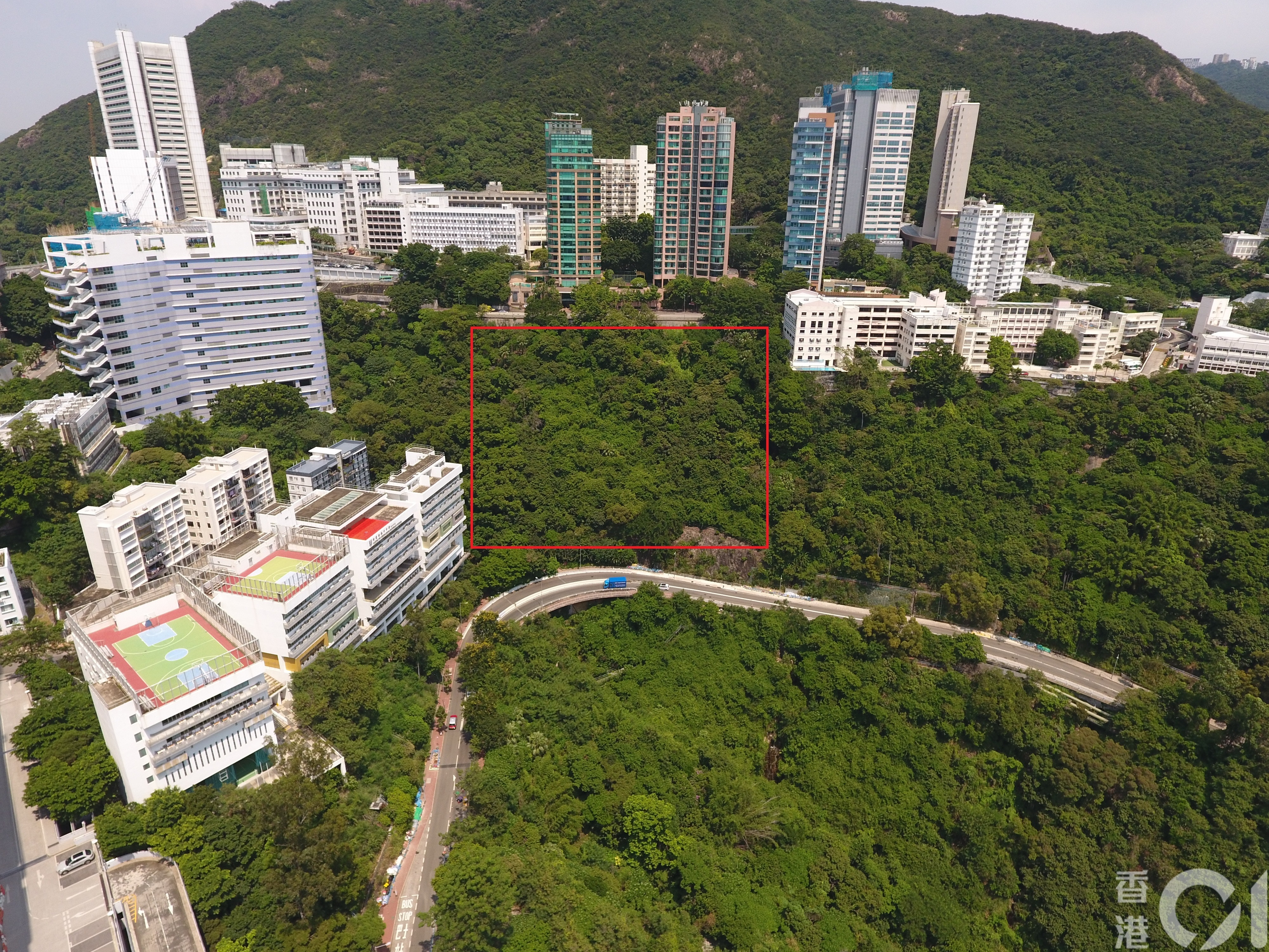 香港大學醫學院今年7月向城規會提交申請，要求將薄扶林沙宣道3號以東、毗鄰心光盲人學校旁的一幅綠化地帶（紅框示）改劃為政府、機構或社區用地，以便興建新的教學大樓。（蔡正邦攝）
