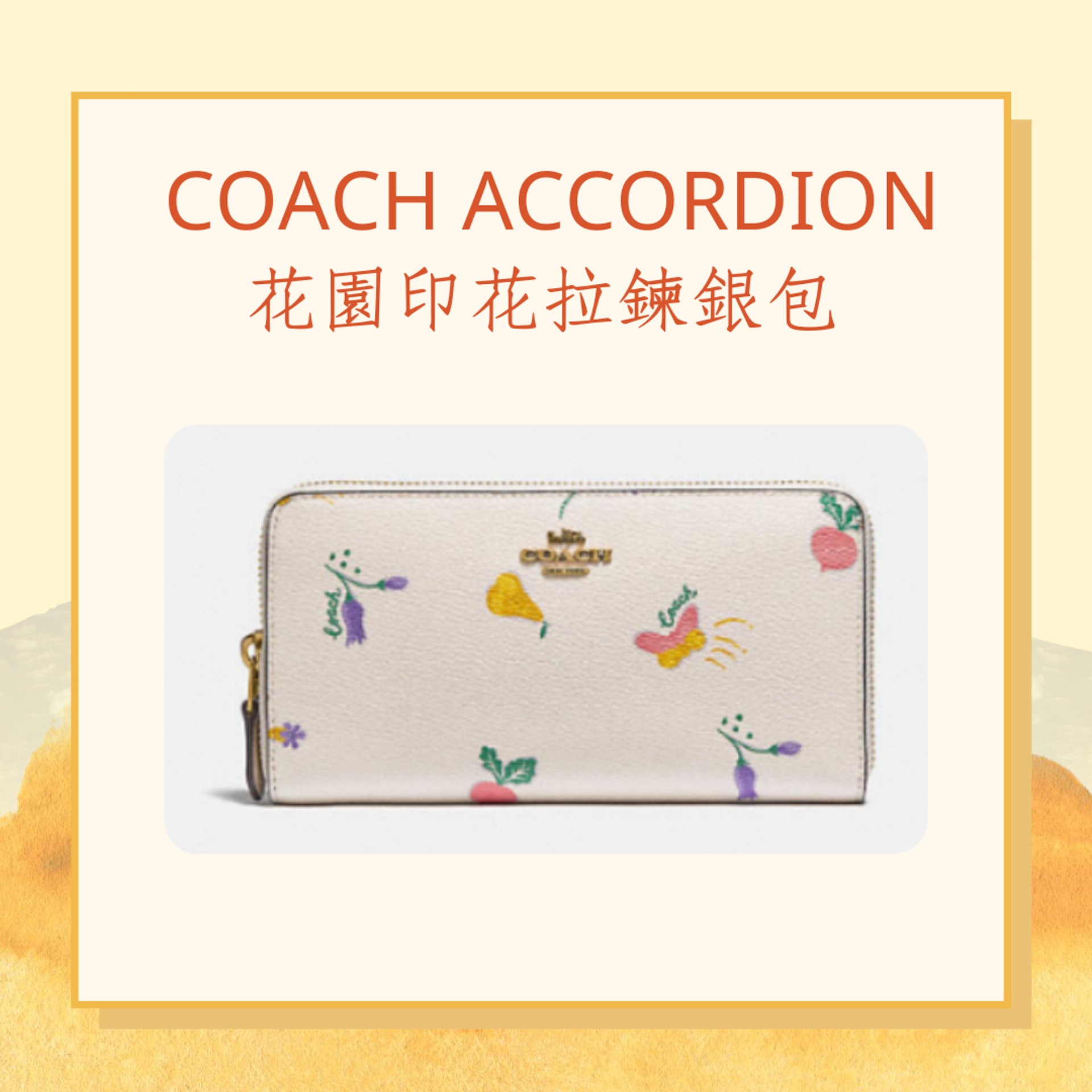 6款入門級名牌銀包推介(COACH 官網/01製圖) 6款入門級名牌銀包推介(COACH 官網/01製圖)