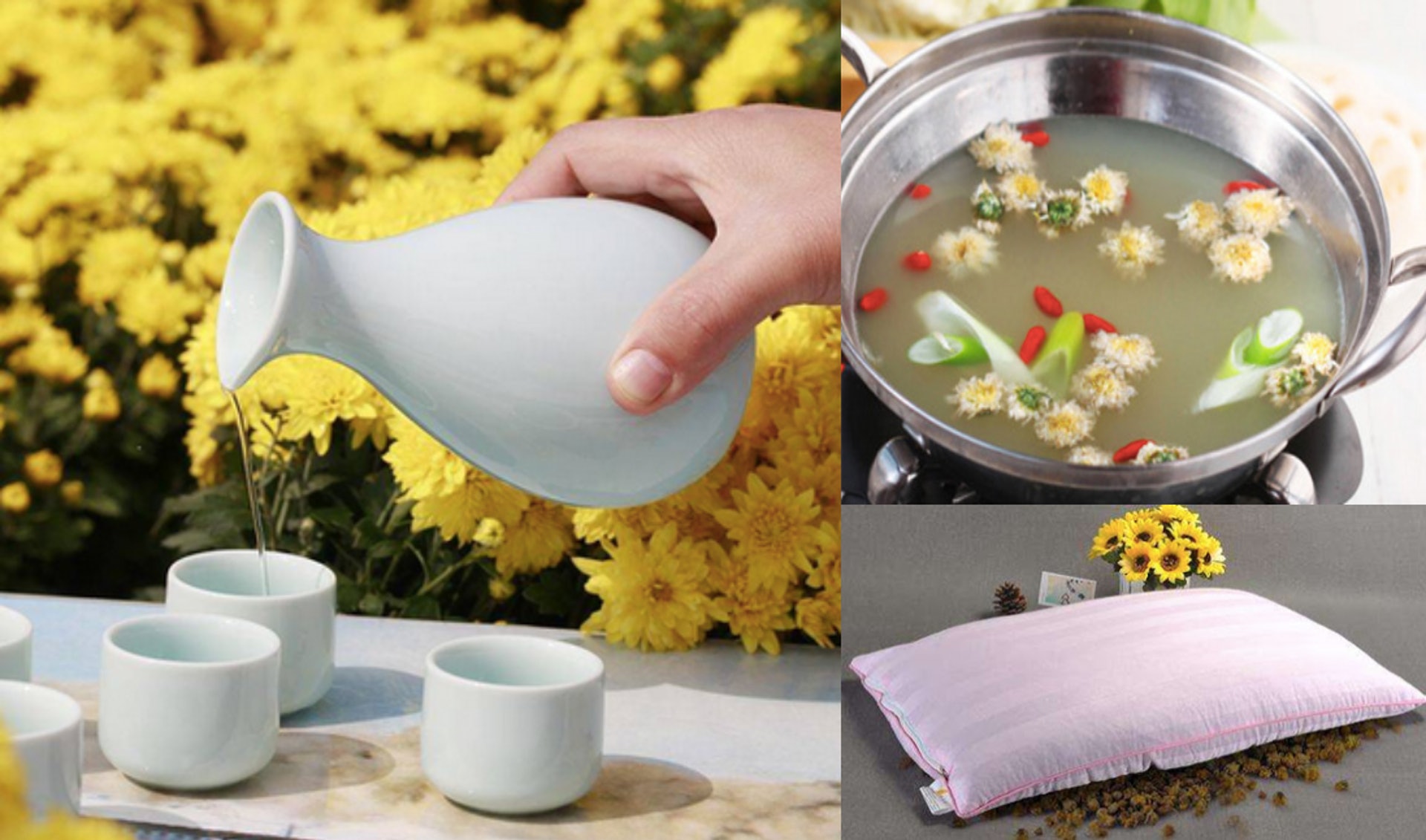 菊花用途廣博,「苗可菜,花可藥,囊可枕,釀可飲」。寒露菊花開,此時可採擷其精華,用於養生。(圖片:google) 菊花用途廣博,「苗可菜,花可藥,囊可枕,釀可飲」。寒露菊花開,此時可採擷其精華,用於養生。(圖片:google)