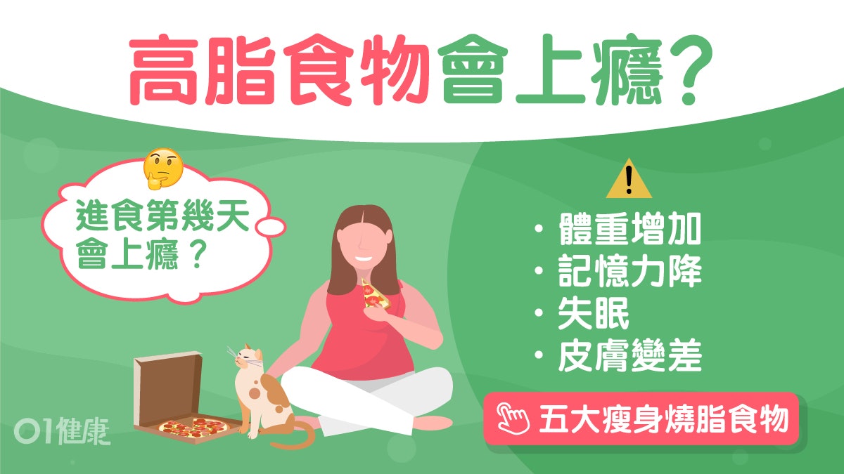 減肥|高脂飲食使人變笨、有吃不飽錯覺?12種吃過多高脂食物跡象 減肥|高脂飲食使人變笨、有吃不飽錯覺?12種吃過多高脂食物跡象