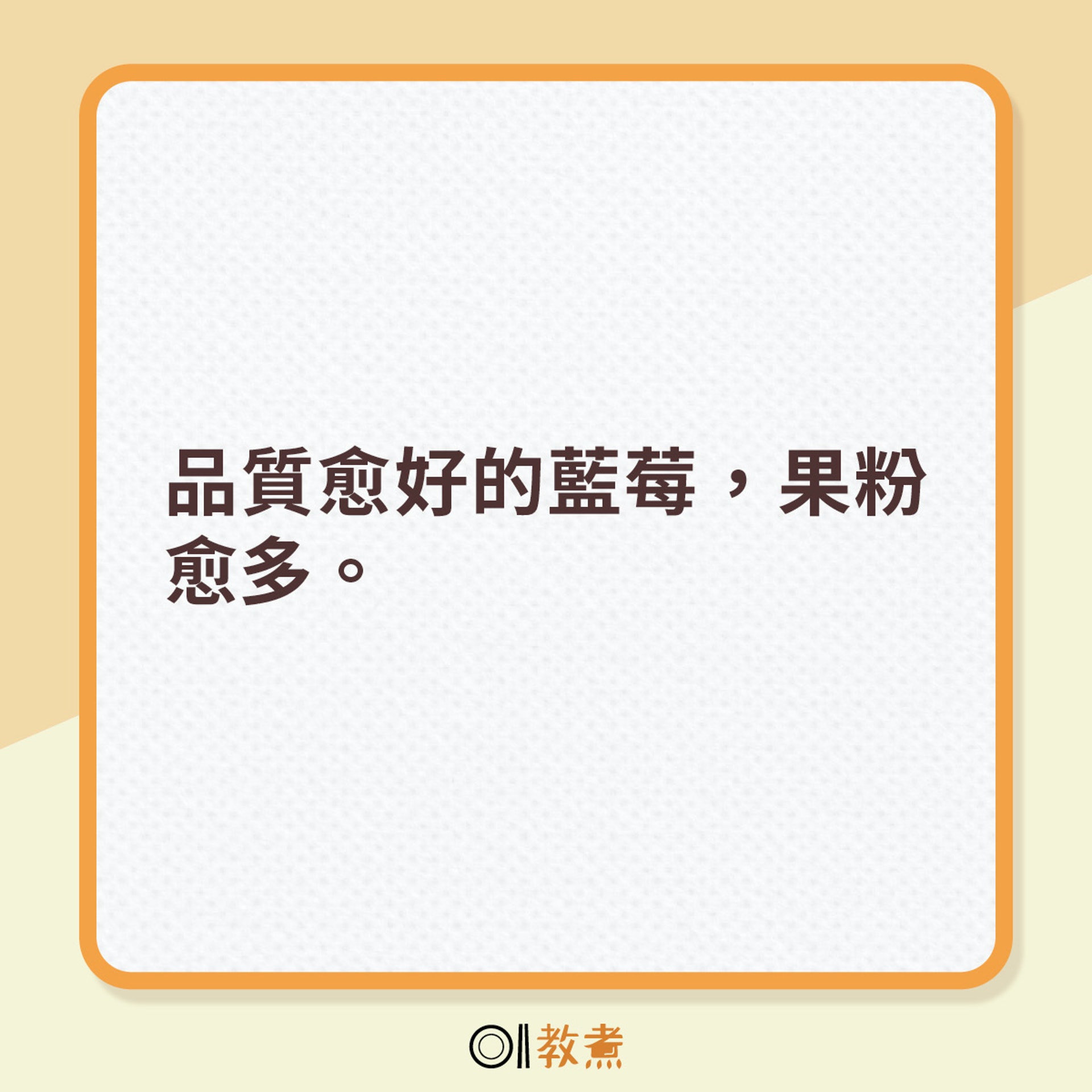 品質愈好的藍莓,果粉愈多。 品質愈好的藍莓,果粉愈多。