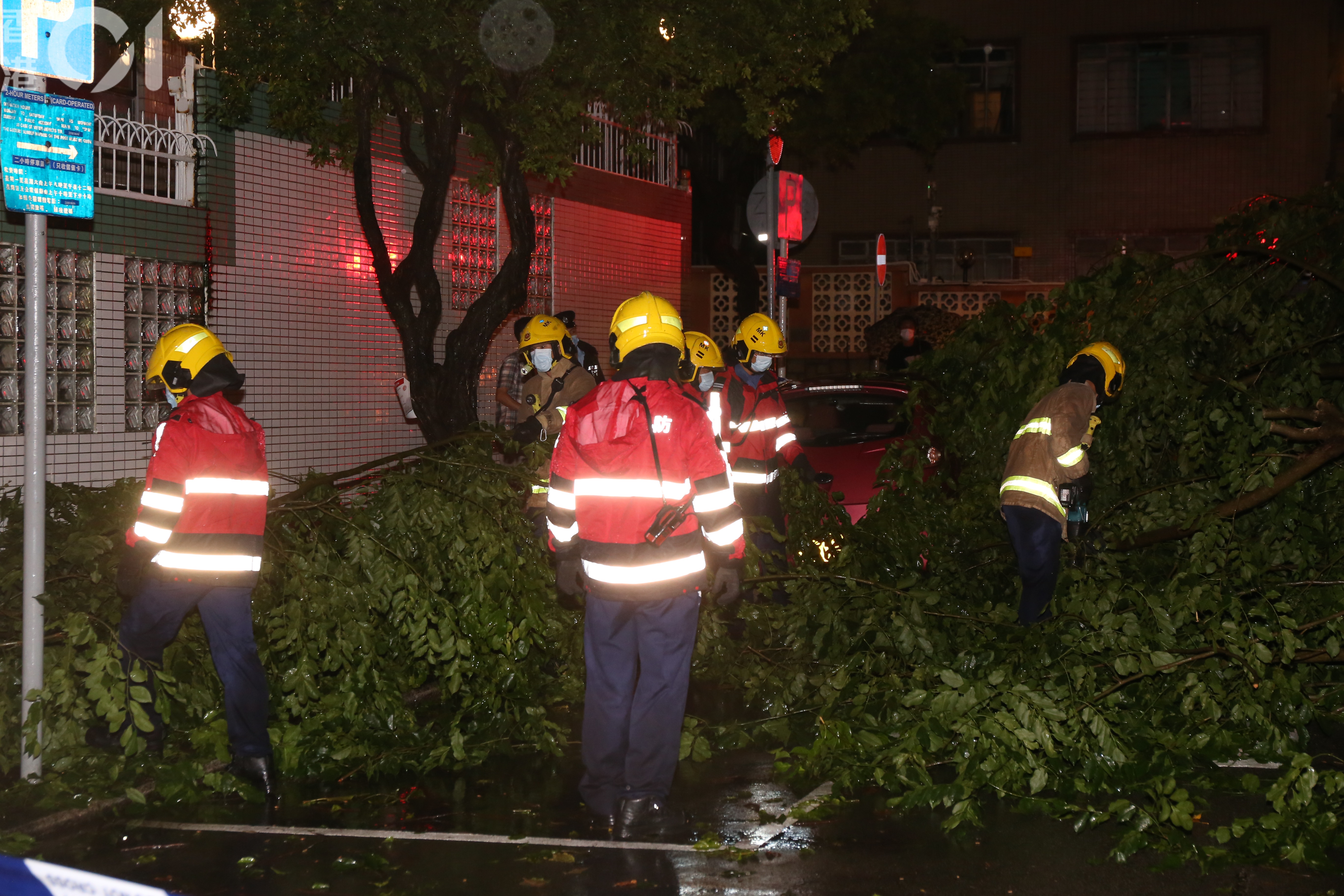 九龍塘10米長樹椏倒塌擊中3私家車 香港01 突發