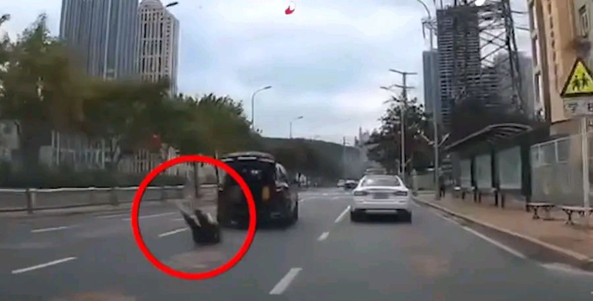 內地1名婚禮攝影師危坐於私家車的車尾箱拍攝,當車輛突然加速時,他即失平衡從車尾箱拋出,當場頭部浴血受傷。(搜狐圖片) 內地1名婚禮攝影師危坐於私家車的車尾箱拍攝,當車輛突然加速時,他即失平衡從車尾箱拋出,當場頭部浴血受傷。(搜狐圖片)