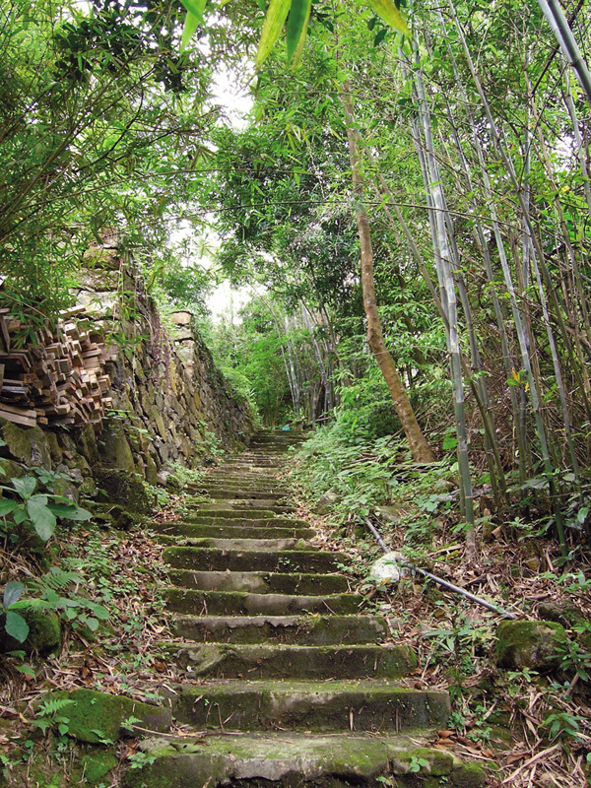 地塘仔郊遊徑沿途風光(野外動向授權使用) 地塘仔郊遊徑沿途風光(野外動向授權使用)