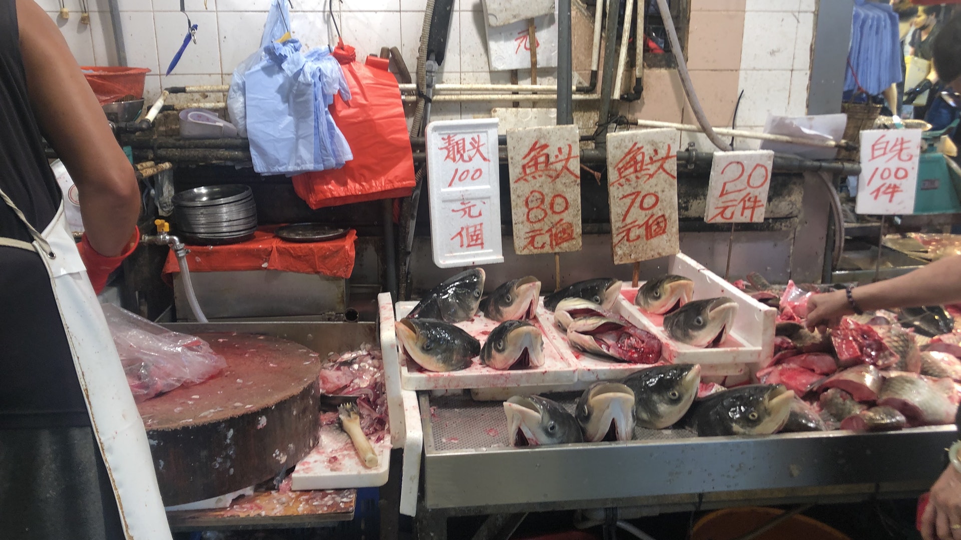 乙型鏈球菌 楊屋道街市魚檔魚塊帶菌街坊冇有怕 戴手套切魚 乙型鏈球菌 楊屋道街市魚檔魚塊帶菌街坊冇有怕 戴手套切魚