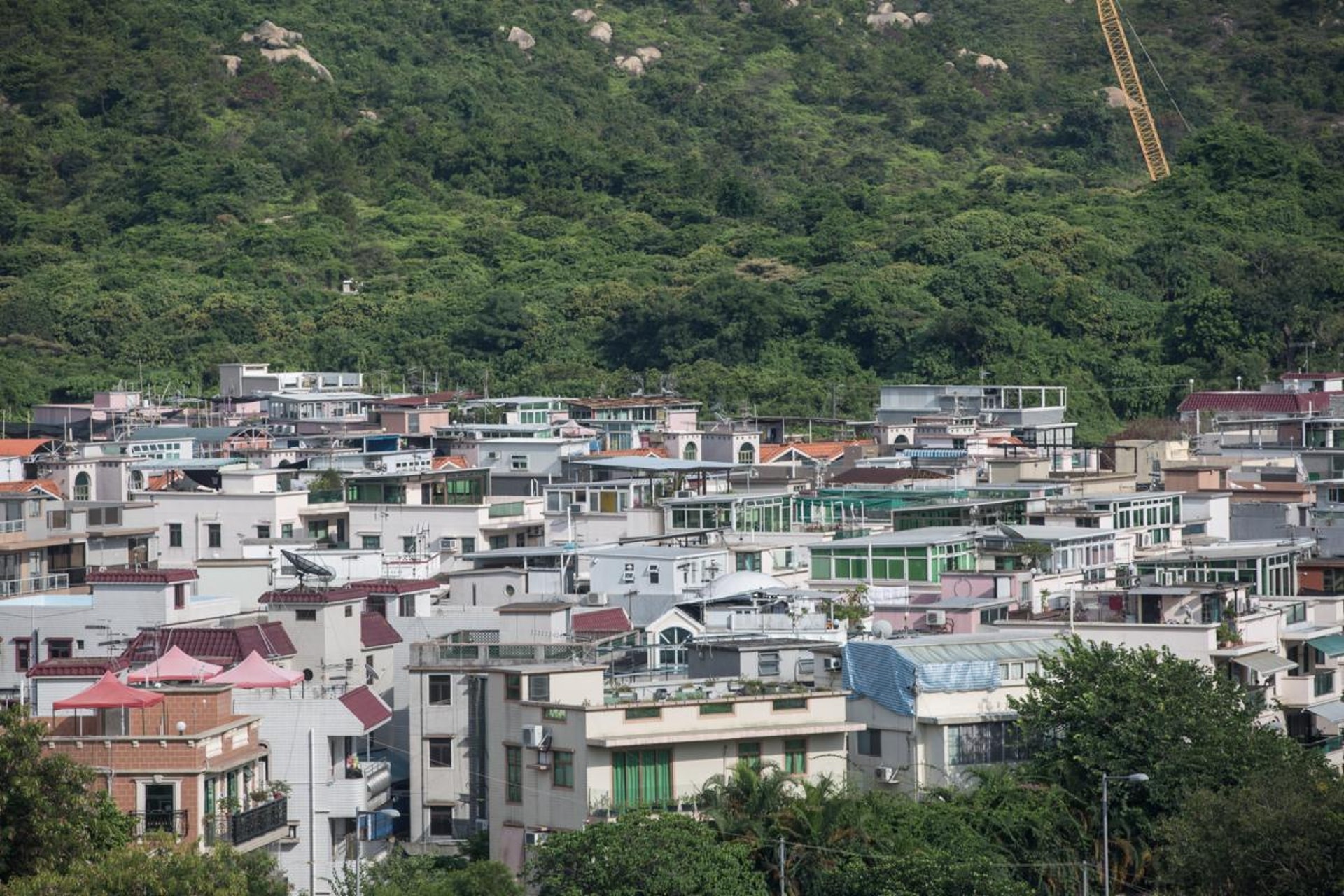 元朗祖堂土地僭建2萬呎　六名司理人沒履行清拆令　被罰款30.6萬
