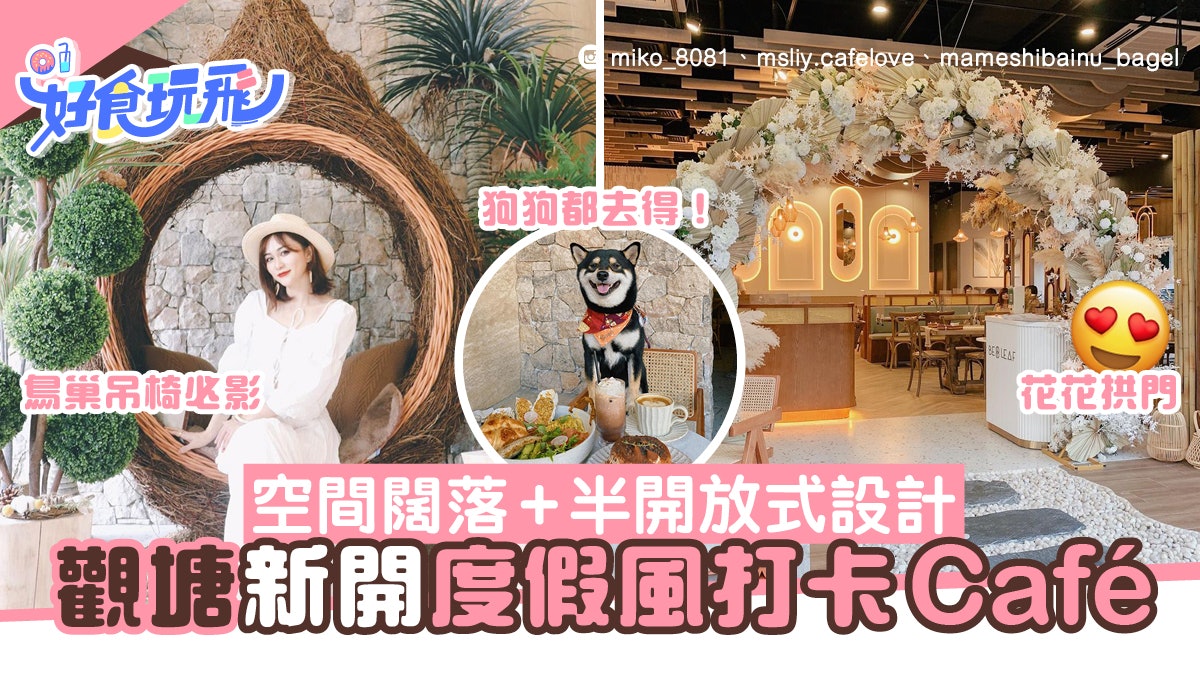觀塘美食|新開度假風打卡Cafe 必影鳥巢吊椅 仲要寵物友善! 觀塘美食|新開度假風打卡Cafe 必影鳥巢吊椅 仲要寵物友善!