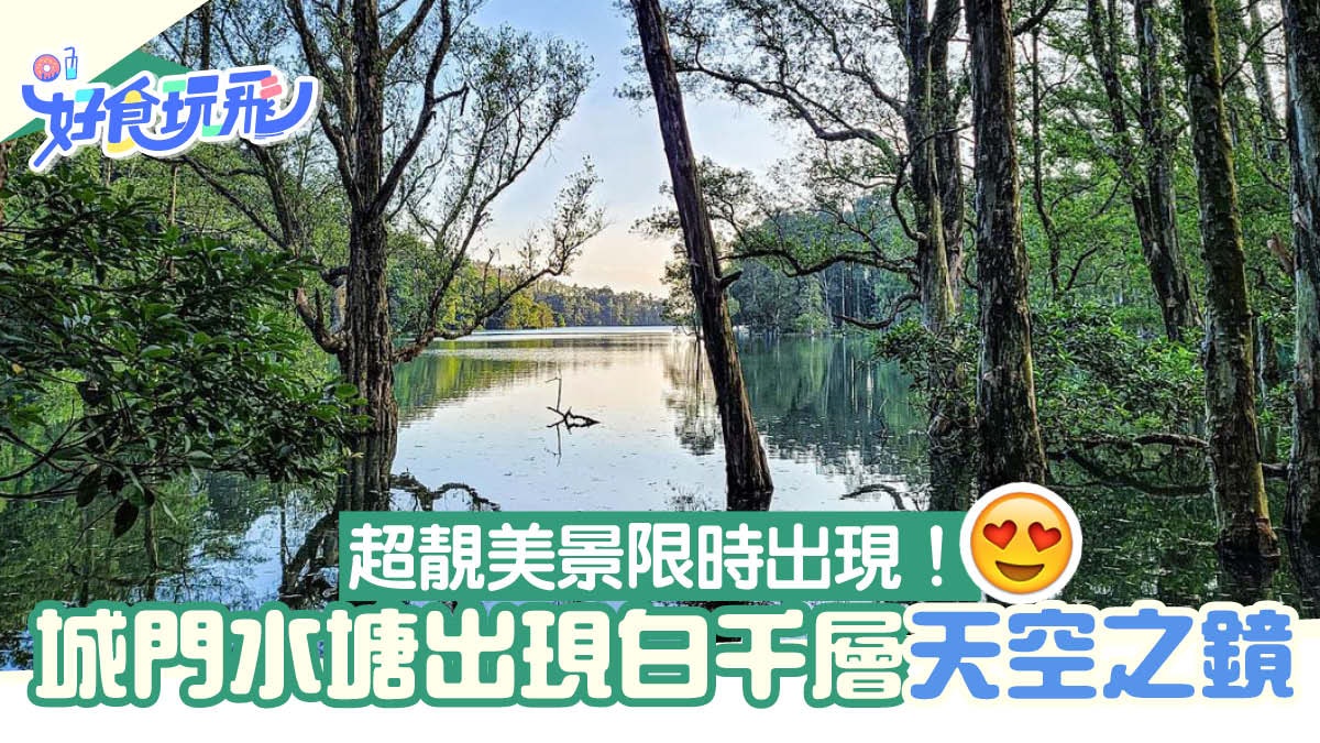 城門水塘出現白千層天空之鏡!行山限時美景 新手必去6大打卡位 城門水塘出現白千層天空之鏡!行山限時美景 新手必去6大打卡位