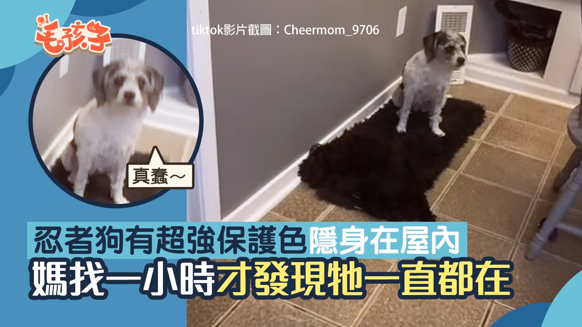 Nsakz9ancycykm Nsakz9ancycykm