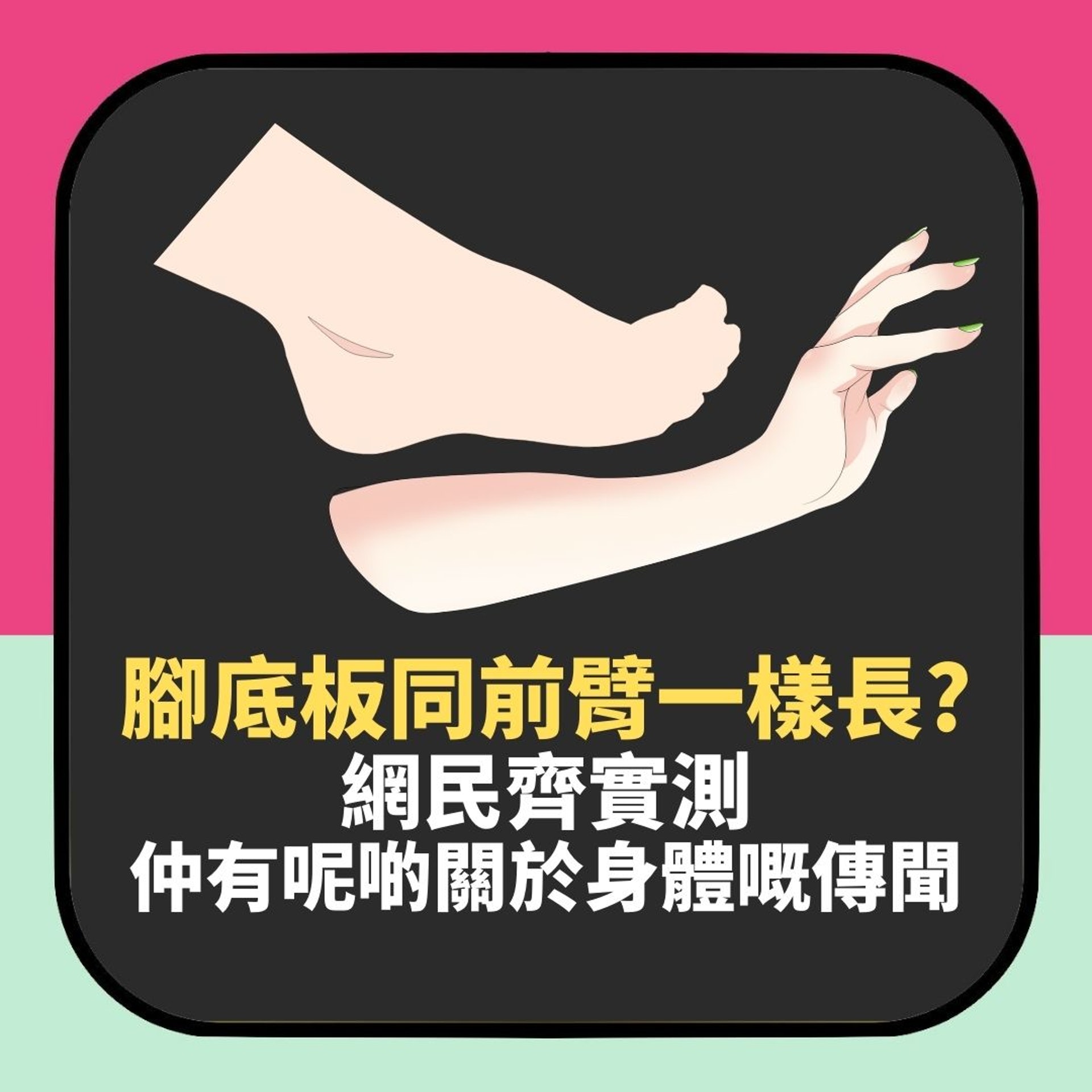 腳板底同一個部位一樣長?網民實測身體比例傳聞(01製圖) 腳板底同一個部位一樣長?網民實測身體比例傳聞(01製圖)
