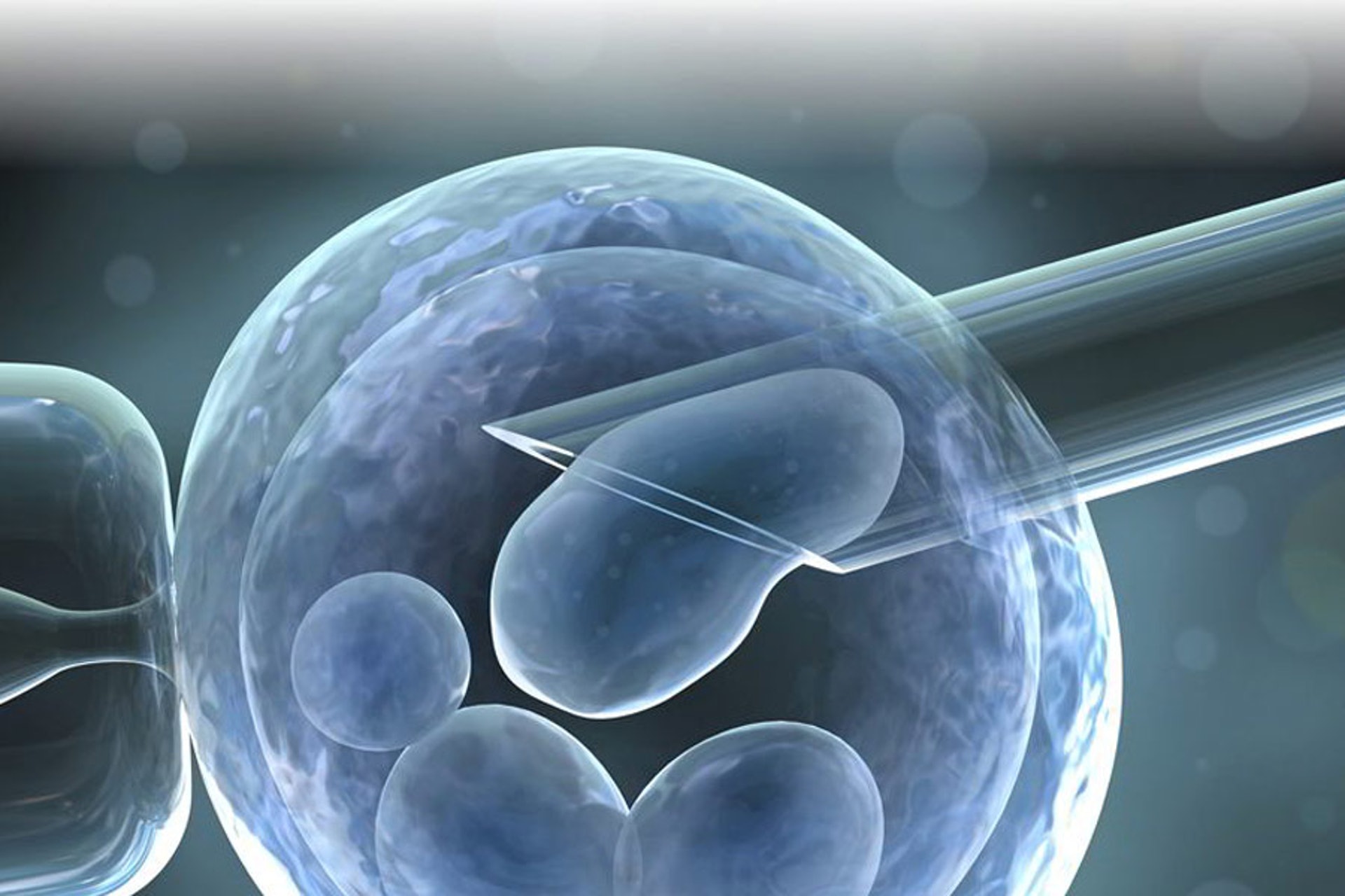 PGT-A 用於檢測胚胎的染色體是否正常，過程會從細胞層當中抽取三至四個細胞，然後分析當中的染色體。（圖片：reproductivehealthgroup）