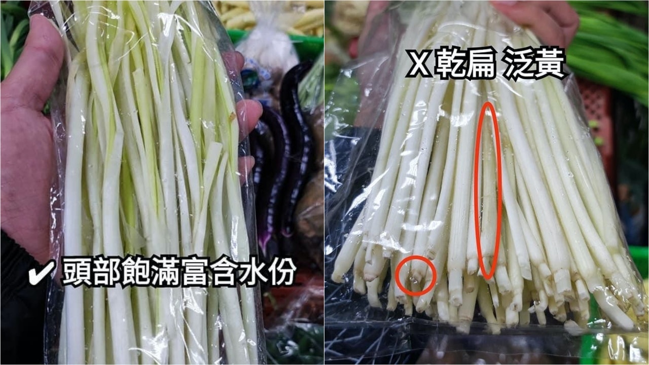 揀韭黃貼士|質地軟嫩纖維感低 3大挑選原則頭部葉片愈厚寬愈好 揀韭黃貼士|質地軟嫩纖維感低 3大挑選原則頭部葉片愈厚寬愈好