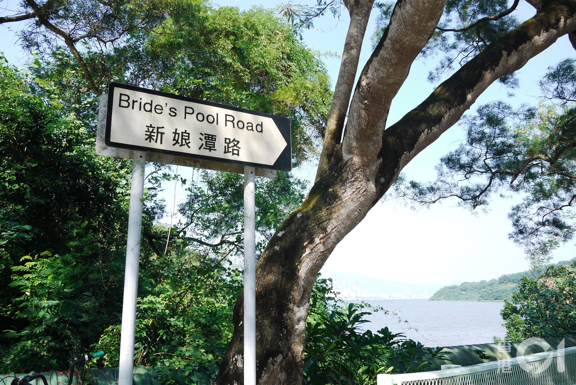 新娘潭路過去發生多宗致命交通意外。（資料圖片）