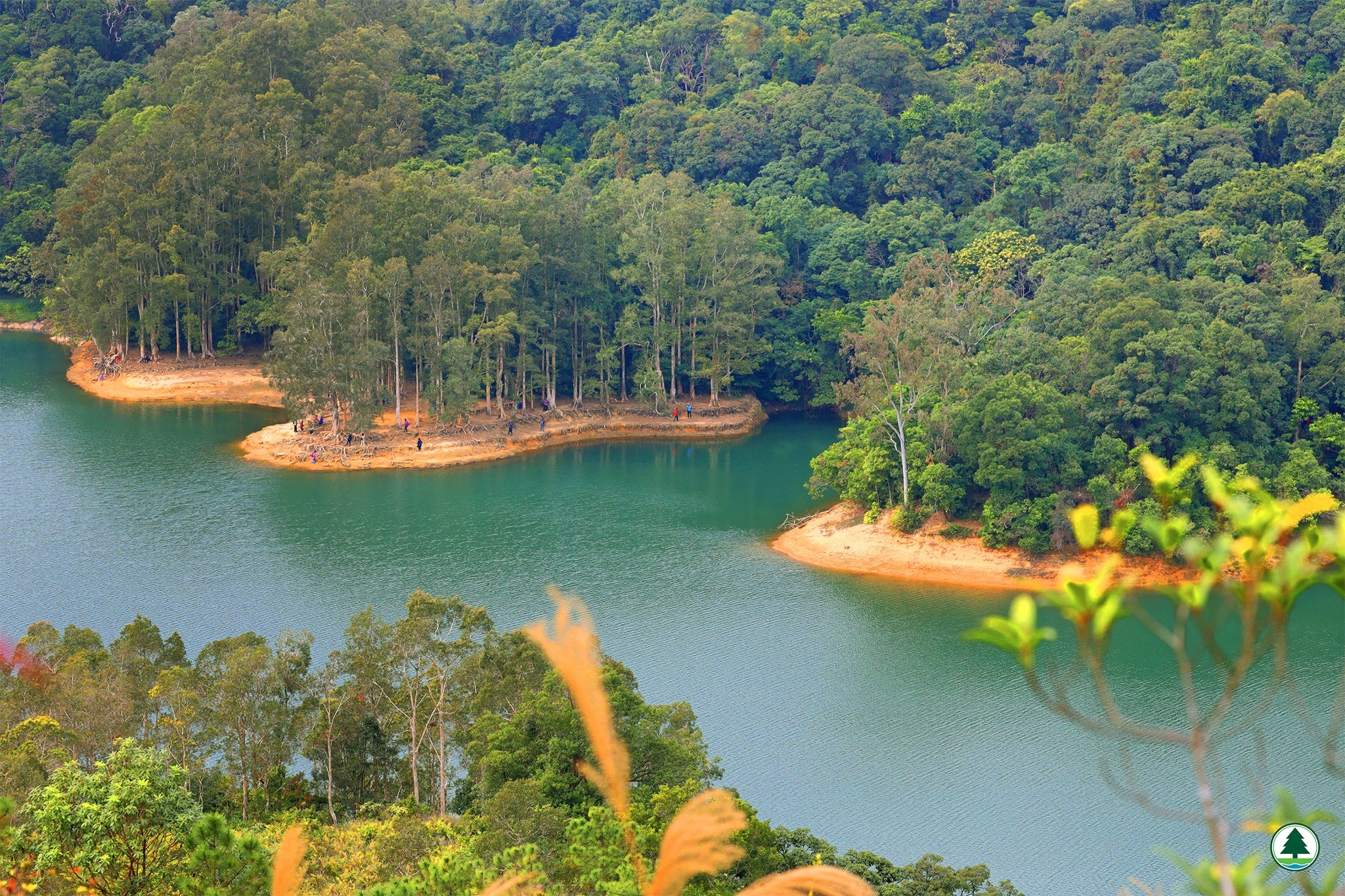 城門水塘行山 新景點享逸台睇到小千島湖 遠眺水浸白千層