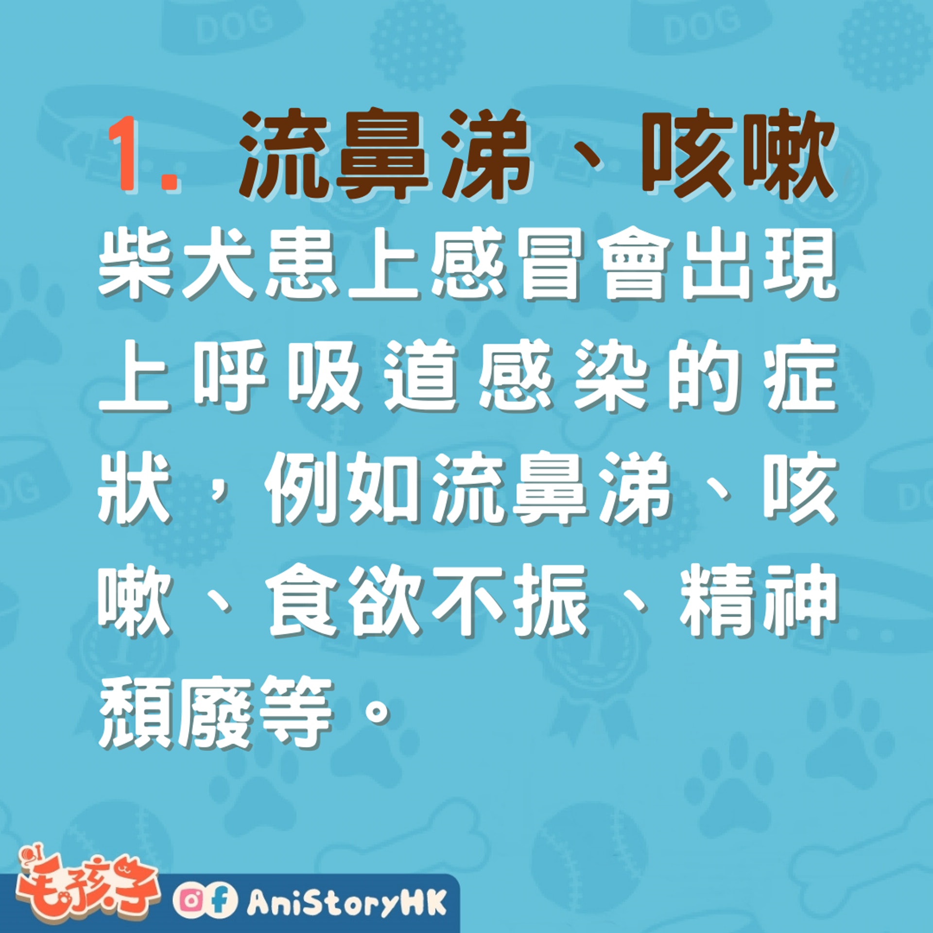 柴犬都會怕凍冬天溫差大狗狗易生病4大感冒病徵要留心 柴犬都會怕凍冬天溫差大狗狗易生病4大感冒病徵要留心