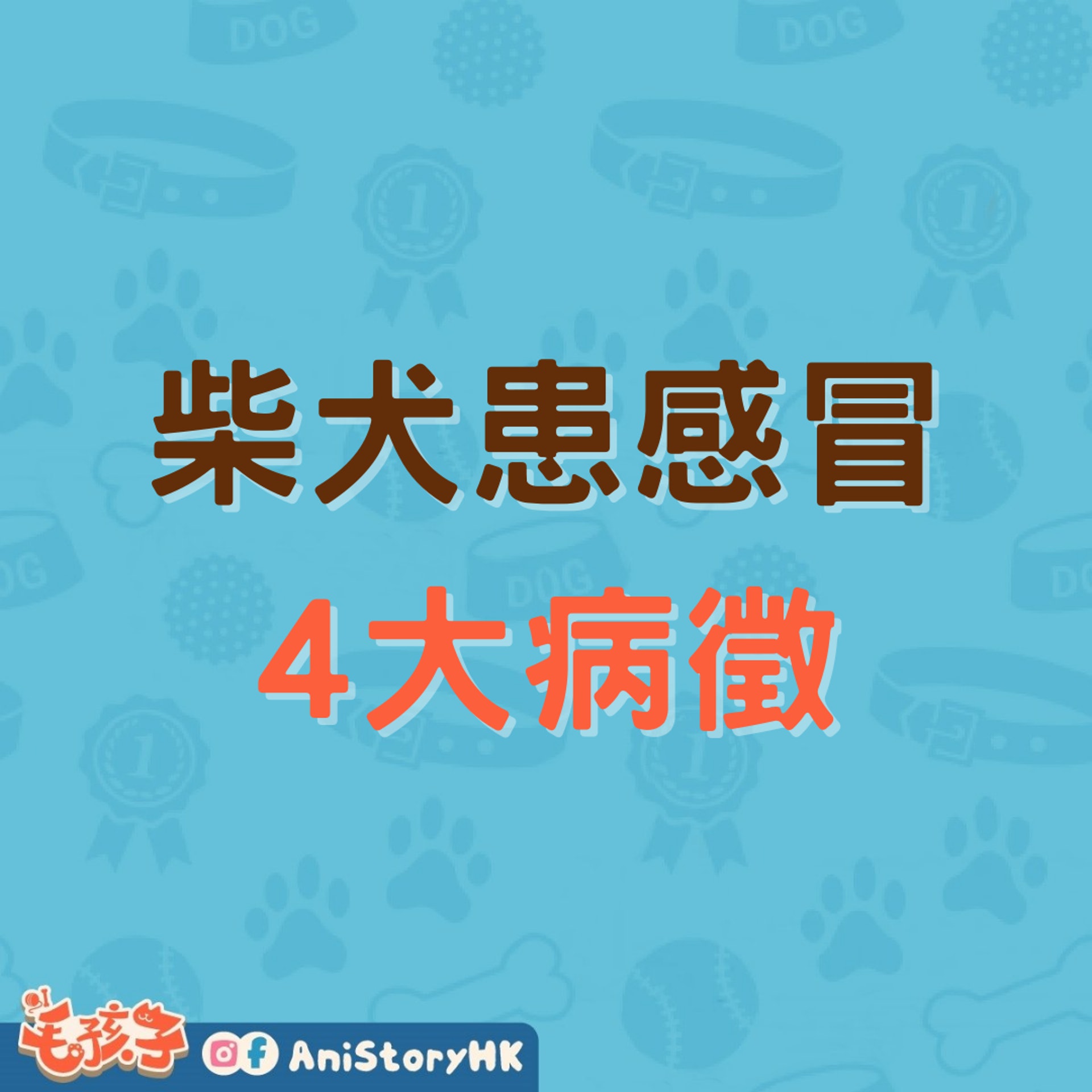 柴犬都會怕凍冬天溫差大狗狗易生病4大感冒病徵要留心 柴犬都會怕凍冬天溫差大狗狗易生病4大感冒病徵要留心