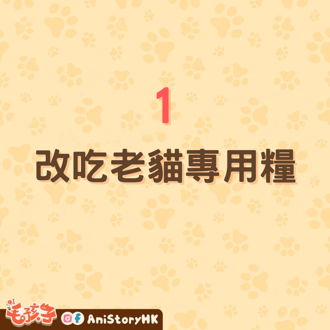兩個方法有助改善老貓便祕。（01製圖）