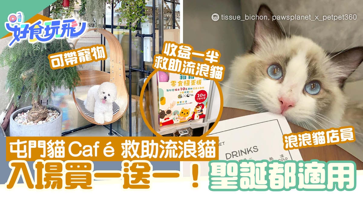 屯門貓Cafe幫助流浪/被棄養貓貓推入場劵買一送一！聖誕都適用