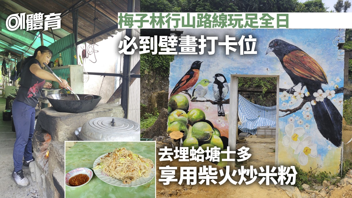 烏蛟騰行到梅子林賞壁畫學生態 蛤塘士多享用柴火午膳|行山路線 烏蛟騰行到梅子林賞壁畫學生態 蛤塘士多享用柴火午膳|行山路線