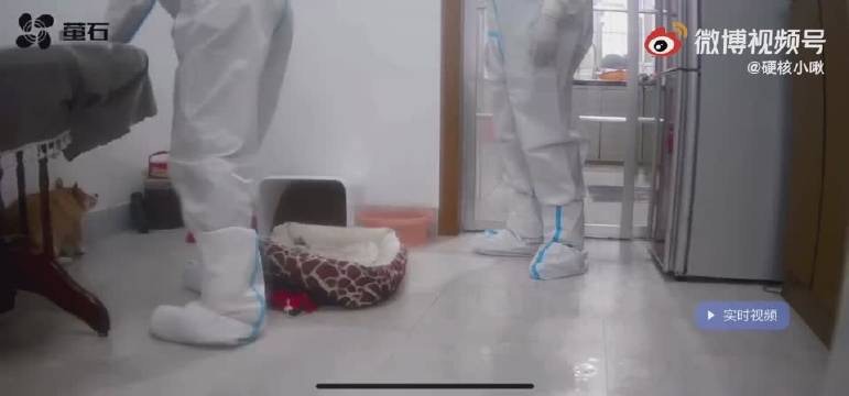 事發過程被監控拍下。（微博）