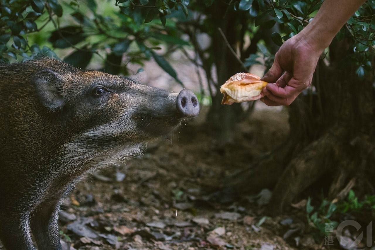 MhiaOH0T3OB0bC7v3aiwvpoCYABamV0nhD6E54Q-