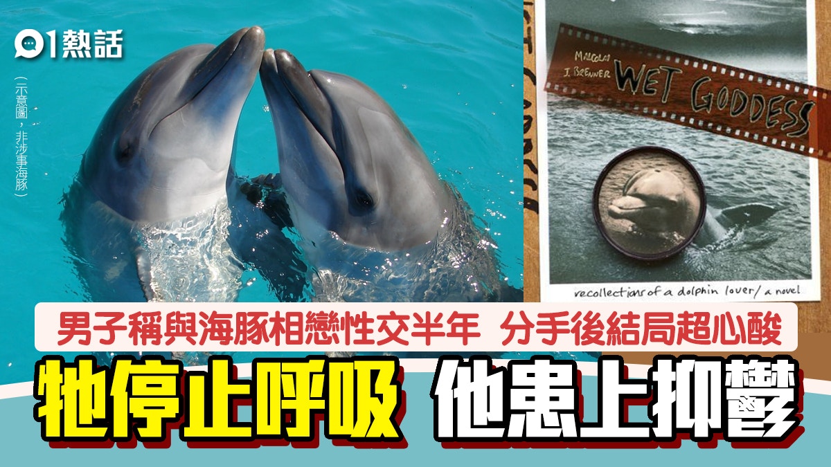 人豚戀｜男子與海豚相戀6個月兼性交被迫分手海豚這樣做超心酸…