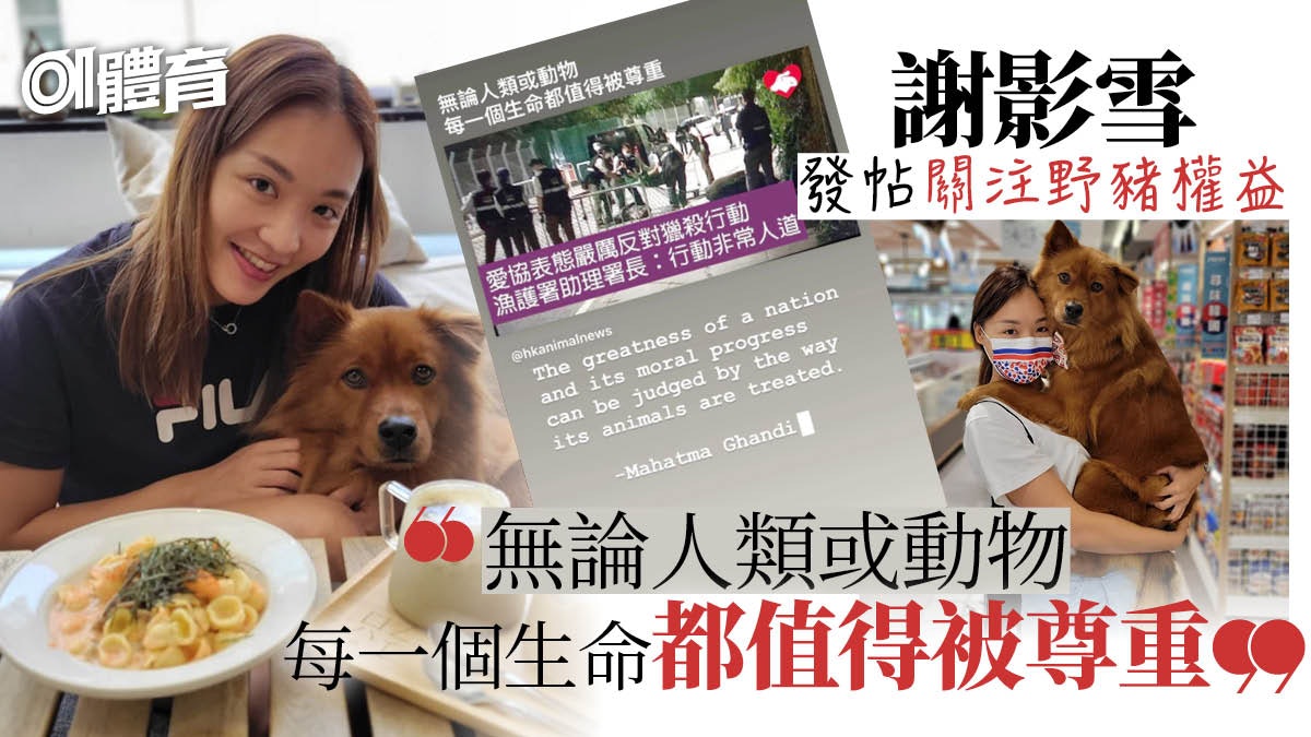 謝影雪比賽期間不忘動物權益引用聖雄甘地名言為野豬發聲 謝影雪比賽期間不忘動物權益引用聖雄甘地名言為野豬發聲
