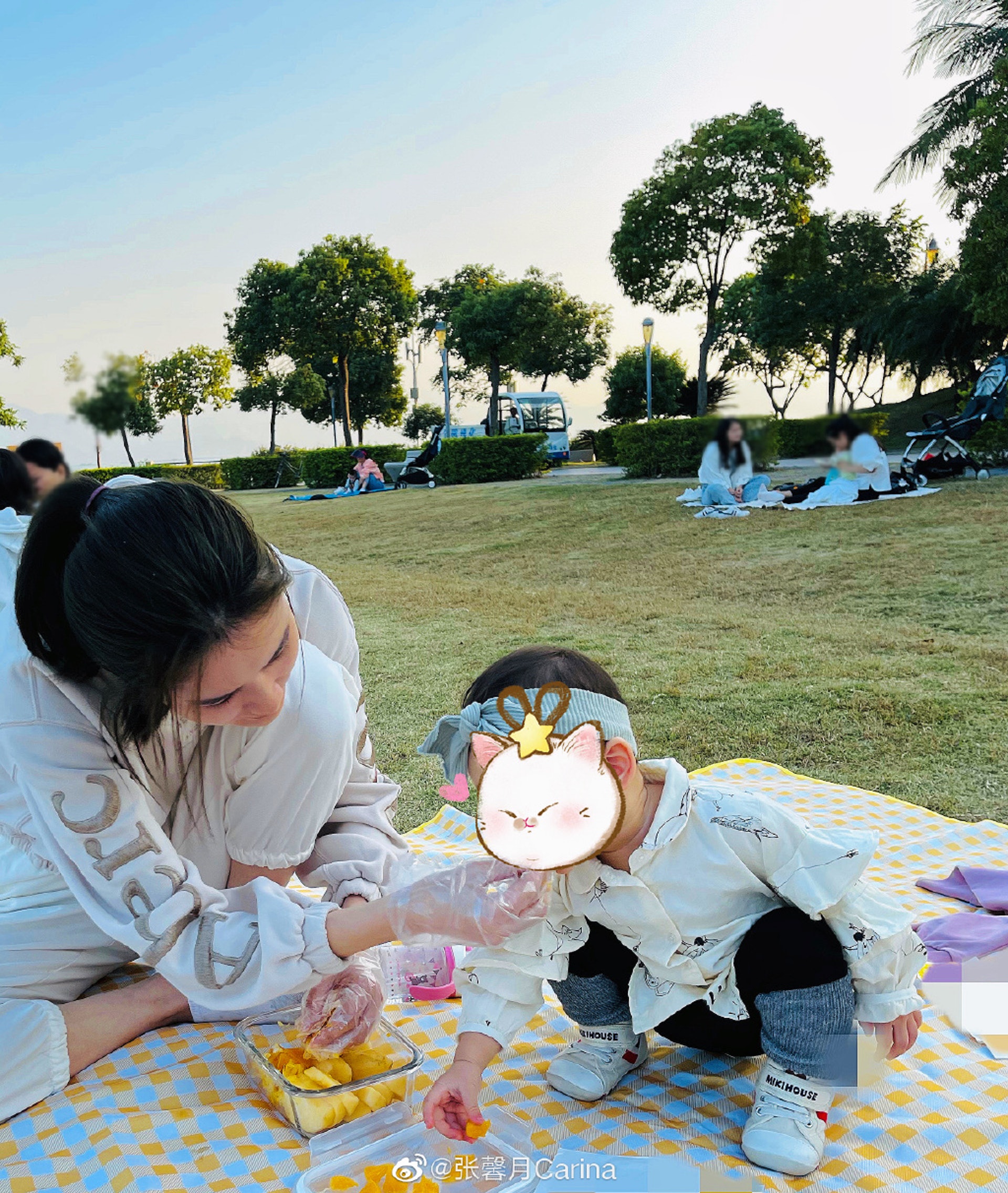張馨月帶囡囡「格格」去公園野餐。(微博@張馨月Carina) 張馨月帶囡囡「格格」去公園野餐。(微博@張馨月Carina)