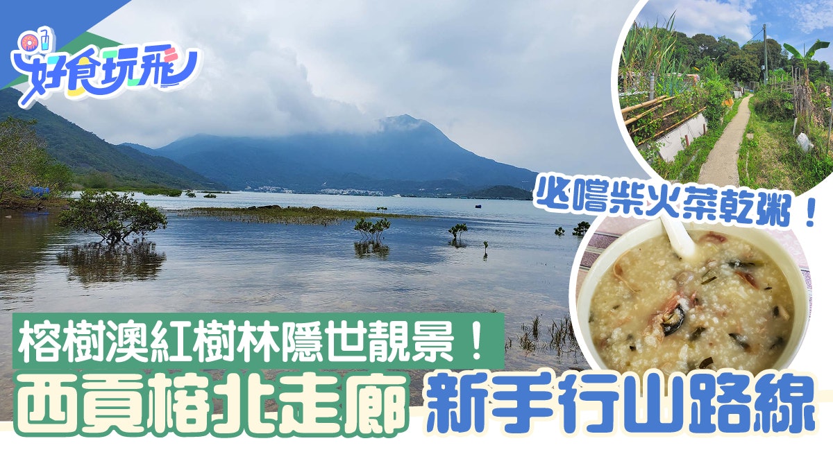 西貢行山|榕北走廊新手郊遊首選!探秘榕樹澳紅樹林嚐柴火菜乾粥 西貢行山|榕北走廊新手郊遊首選!探秘榕樹澳紅樹林嚐柴火菜乾粥