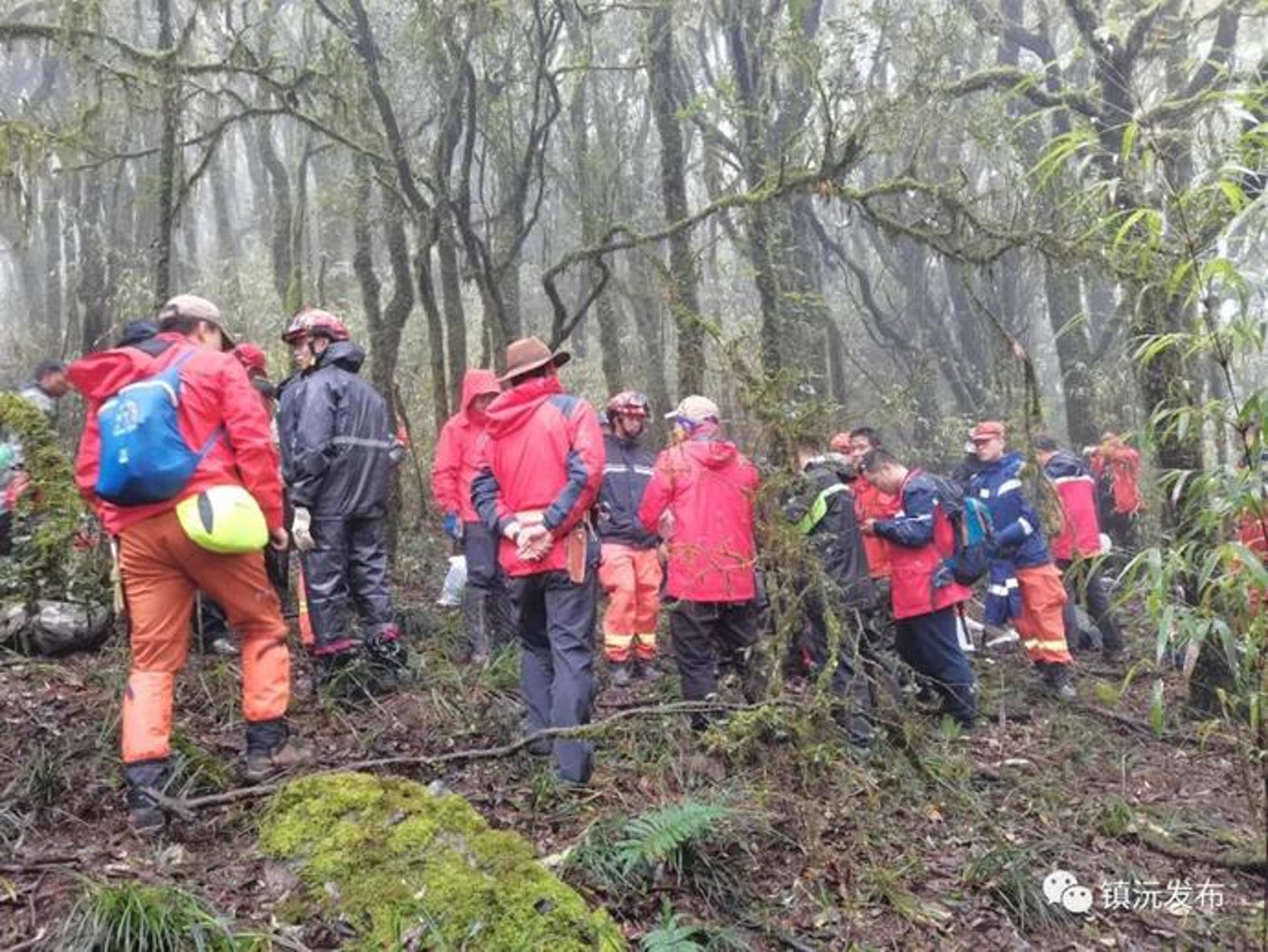 中國地質調查局4名隊員進入雲南哀牢山後失聯,經過數日的搜救,仍未有所發現。(鎮沅發布) 中國地質調查局4名隊員進入雲南哀牢山後失聯,經過數日的搜救,仍未有所發現。(鎮沅發布)