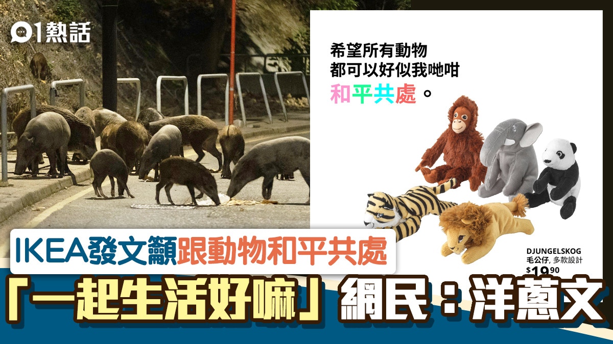 野豬爭議 Ikea出po支持與動物共存 Hashtag 呢度係大家嘅屋企