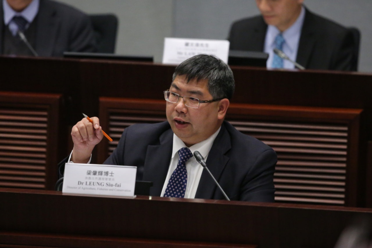 漁護署署長梁肇輝今早接受無綫節目《講清講楚》訪問時表示,目前只暫停「捕捉、絕育、放回」方法,長遠若部分地方野豬滋擾情況受控,可思考是否以豬數量控制、絕育方式去做。(資料圖片) 漁護署署長梁肇輝今早接受無綫節目《講清講楚》訪問時表示,目前只暫停「捕捉、絕育、放回」方法,長遠若部分地方野豬滋擾情況受控,可思考是否以豬數量控制、絕育方式去做。(資料圖片)