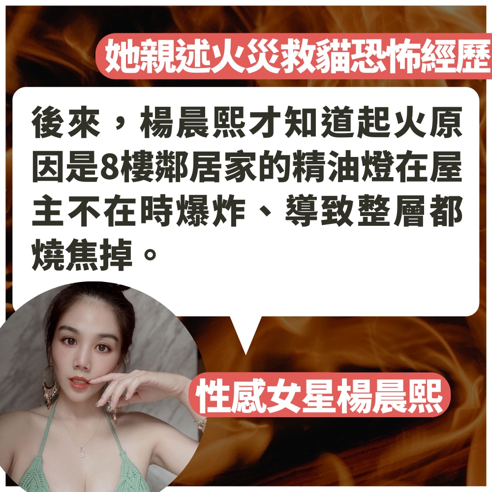 美女闖火海救愛貓（01製圖／IG@jellyc820／unsplash@maxim_tajer）