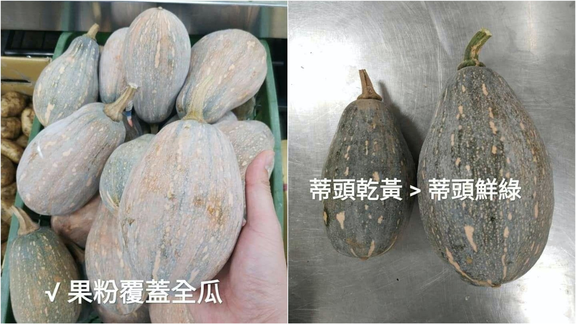揀蔬菜貼士 南瓜果粉多 蒂頭愈乾燥愈好 必學4招挑選靚瓜原則