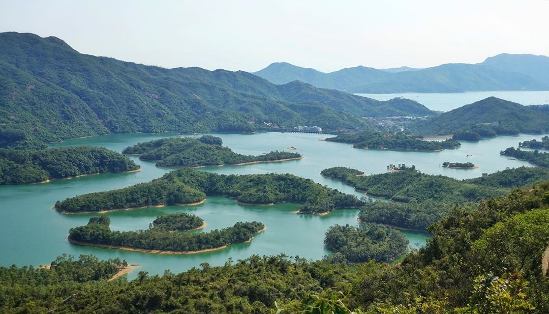 影相好去處【3】大欖涌水塘(圖片授權:IG@bunnymwc) 影相好去處【3】大欖涌水塘(圖片授權:IG@bunnymwc)