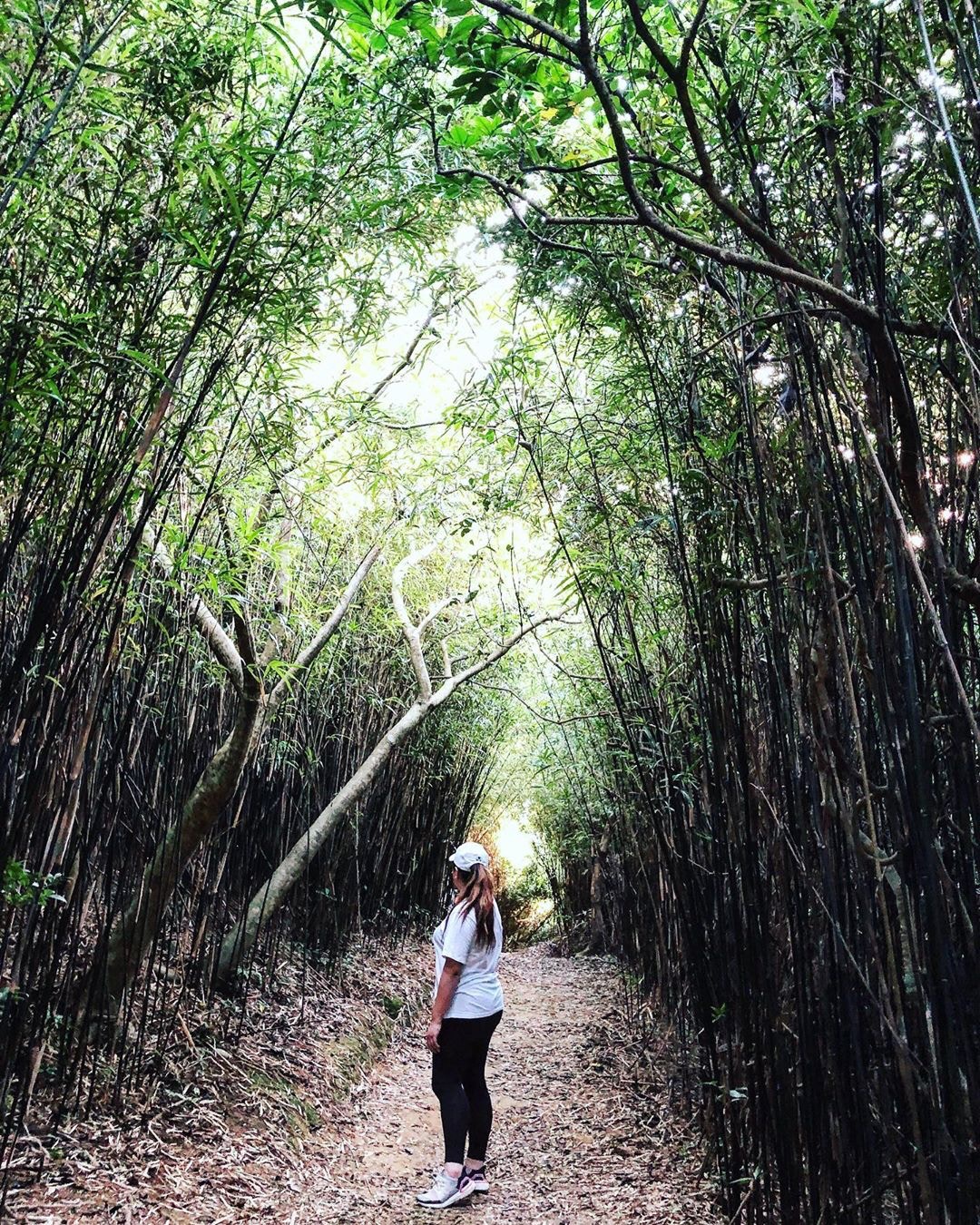 影相好去處【9】河背水塘家樂徑（圖片來源：IG@s_ng321）
