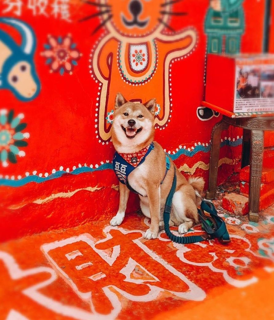 台中彩虹眷村(圖片授權:IG@do_cobe) 台中彩虹眷村(圖片授權:IG@do_cobe)