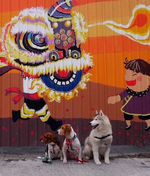 影相好去處【10】錦田壁畫村(圖片授權:IG@bagel_pretzel_waffle) 影相好去處【10】錦田壁畫村(圖片授權:IG@bagel_pretzel_waffle)