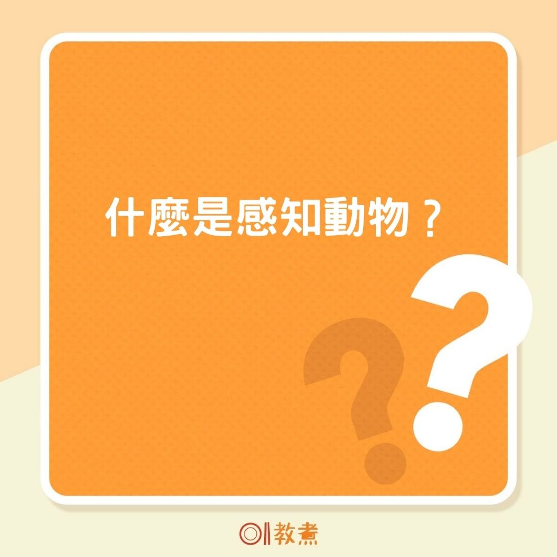什麼是感知動物?(01製圖) 什麼是感知動物?(01製圖)
