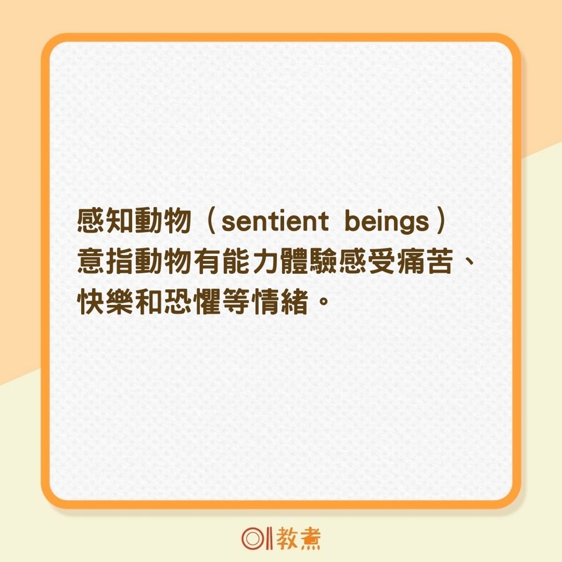 什麼是感知動物?(01製圖) 什麼是感知動物?(01製圖)