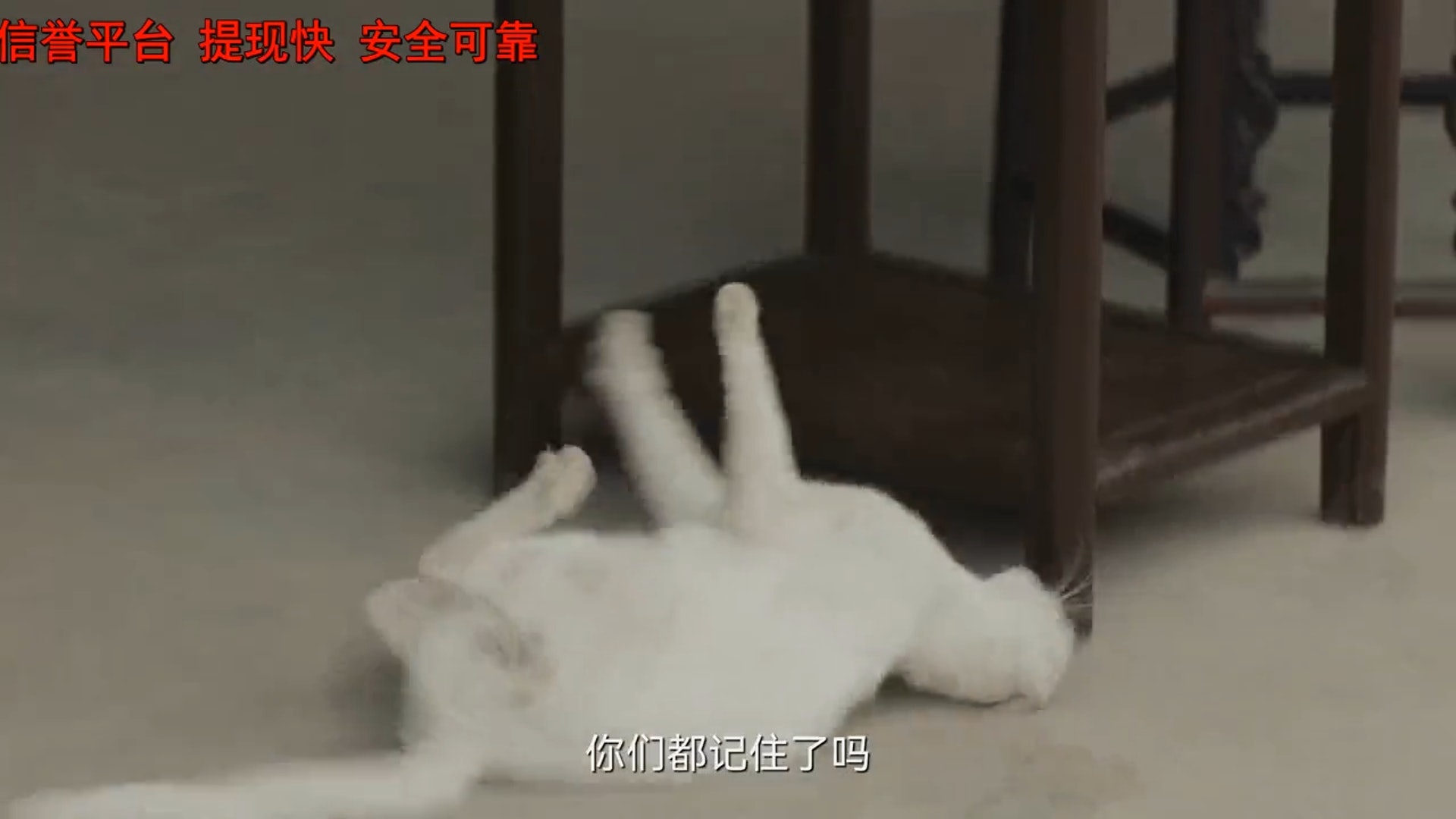 跌落的狀態非常僵硬,且整個背部著地。(視頻截圖) 跌落的狀態非常僵硬,且整個背部著地。(視頻截圖)