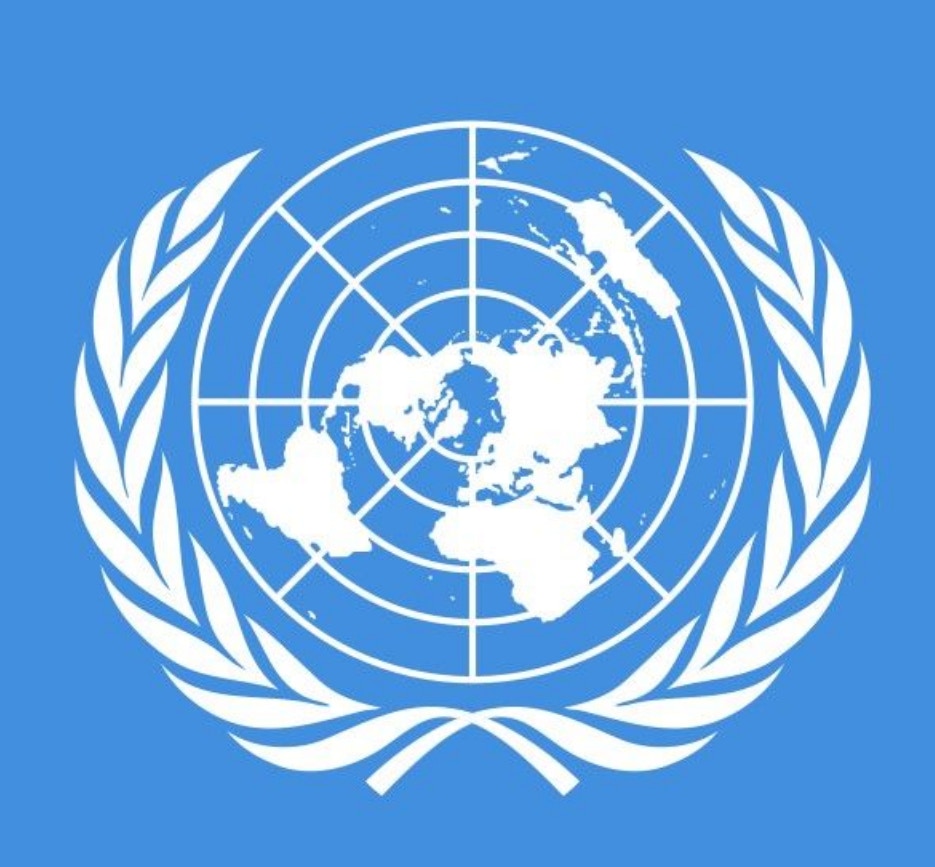 联合国标志(截图)