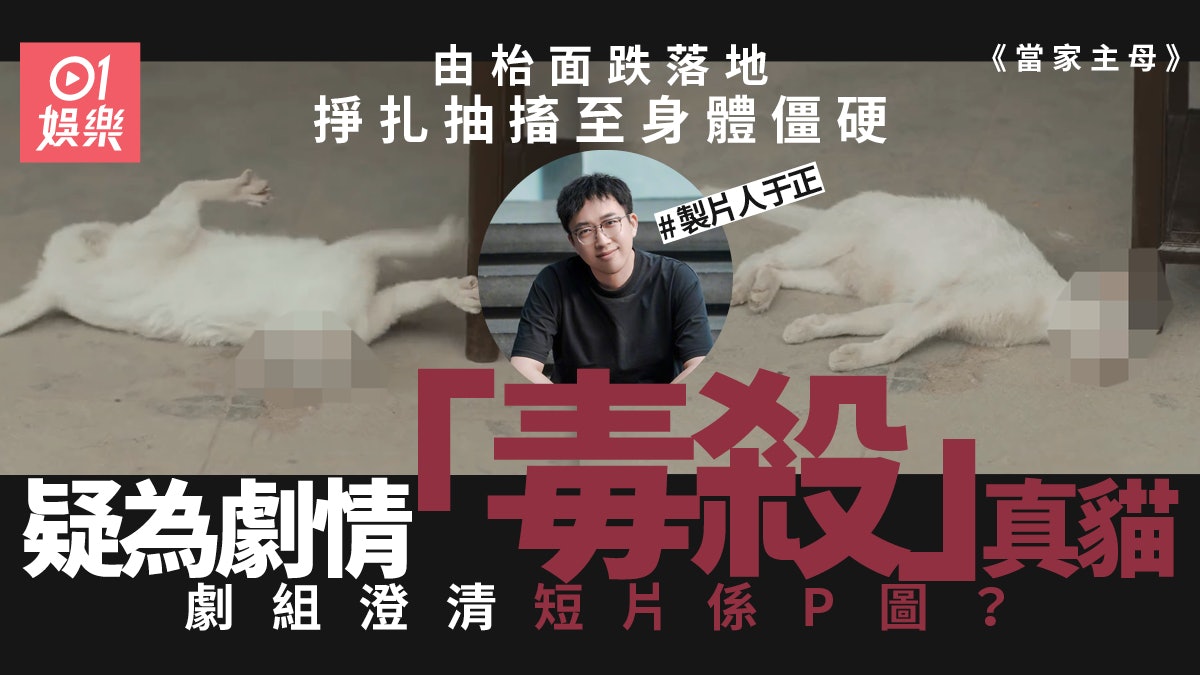 當家主母 | 于正新劇疑「毒害」真貓 劇組發澄清短片網友仍存疑 當家主母 | 于正新劇疑「毒害」真貓 劇組發澄清短片網友仍存疑