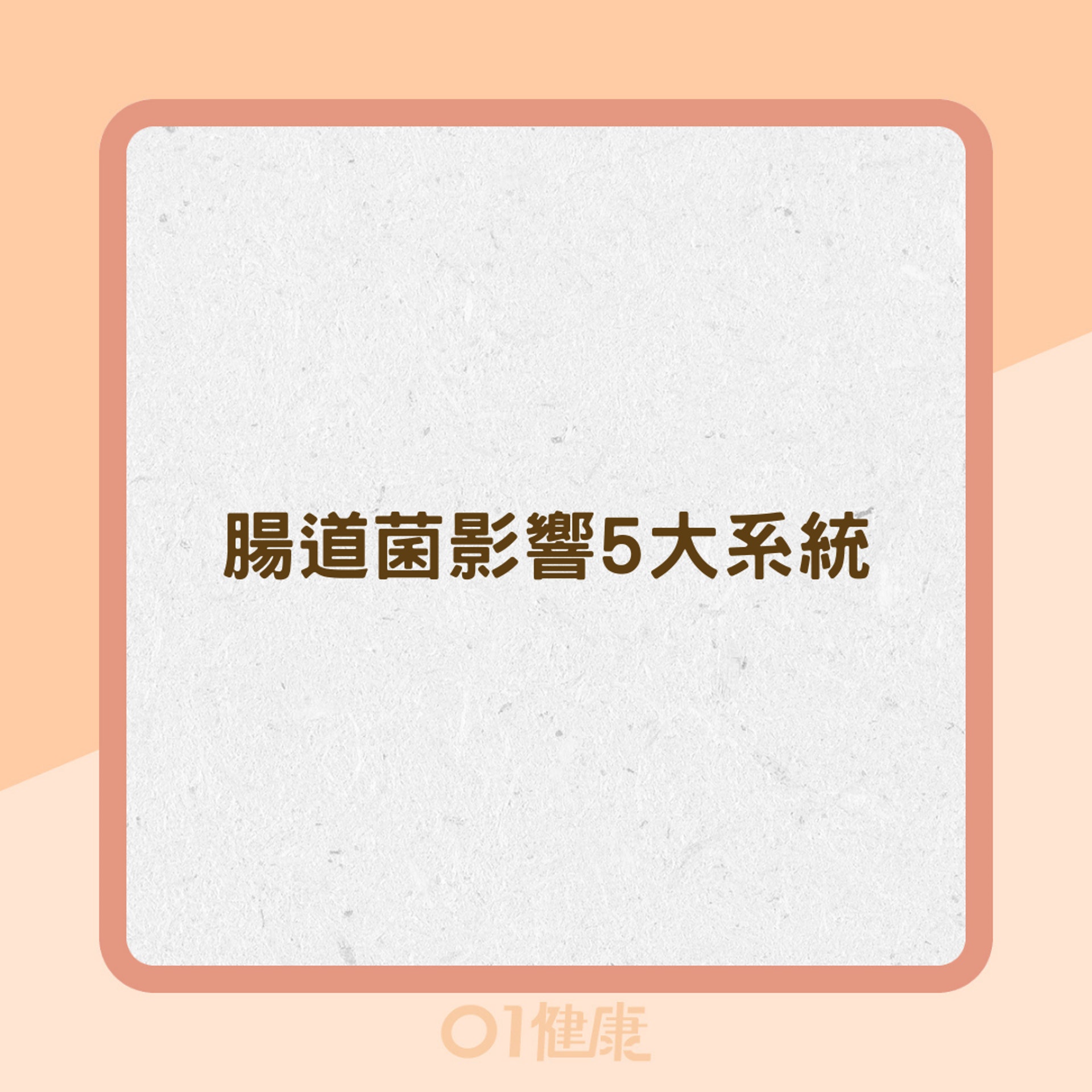 腸道菌影響5大系統(01製圖) 腸道菌影響5大系統(01製圖)