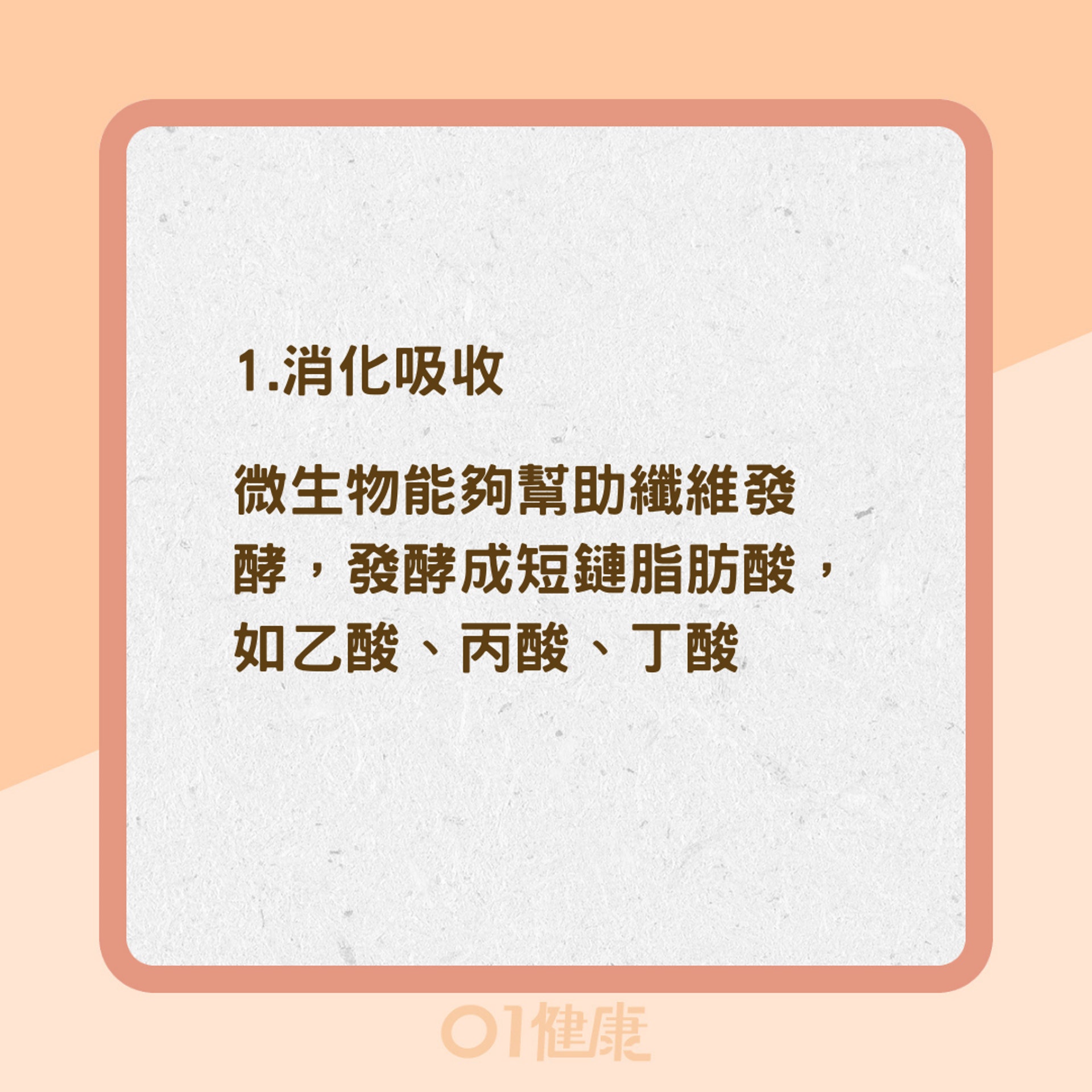 腸道菌影響5大系統(01製圖) 腸道菌影響5大系統(01製圖)