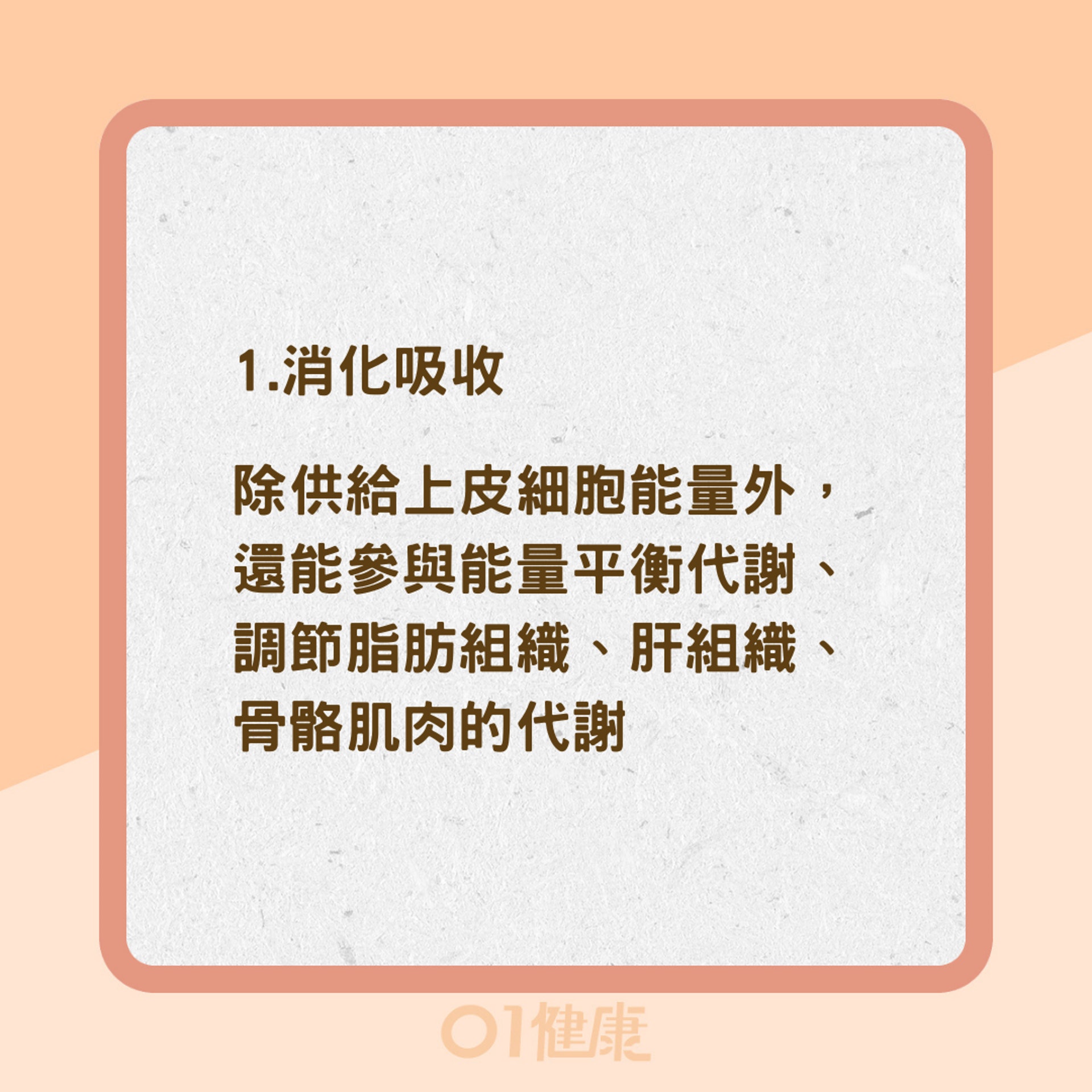 腸道菌影響5大系統(01製圖) 腸道菌影響5大系統(01製圖)