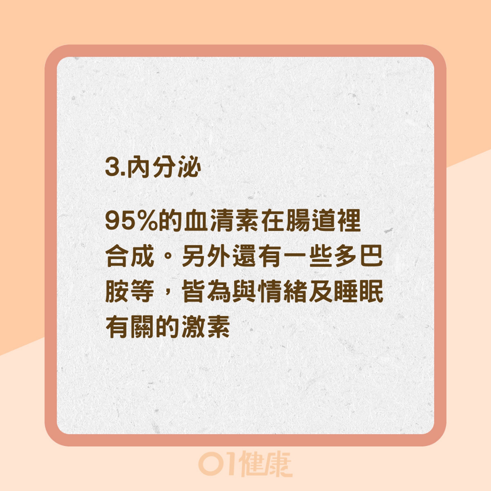 腸道菌影響5大系統(01製圖) 腸道菌影響5大系統(01製圖)