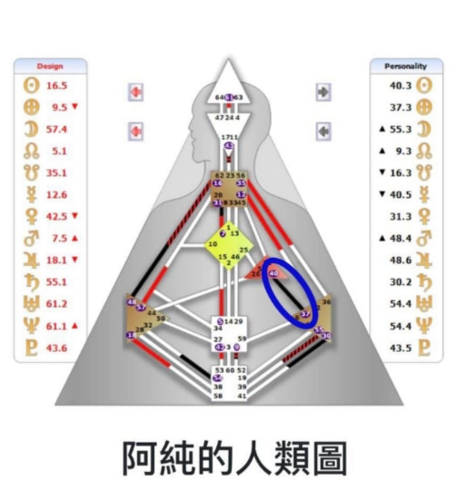 雞排妹鄭家純的人類圖（FB@鄭家純）