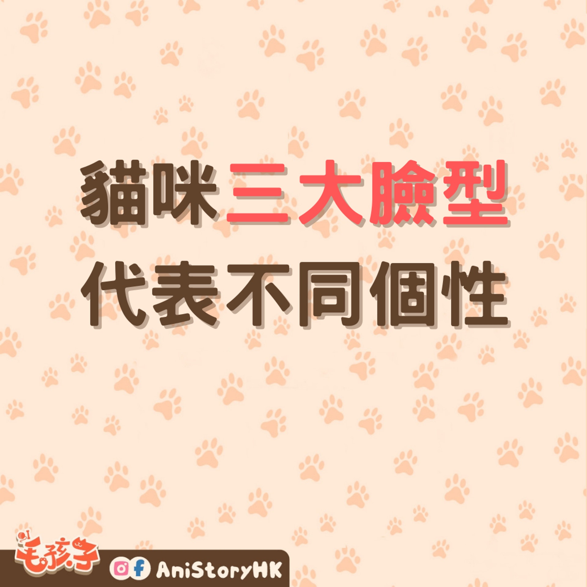 貓咪三大臉型反映不同個性。(01製圖) 貓咪三大臉型反映不同個性。(01製圖)
